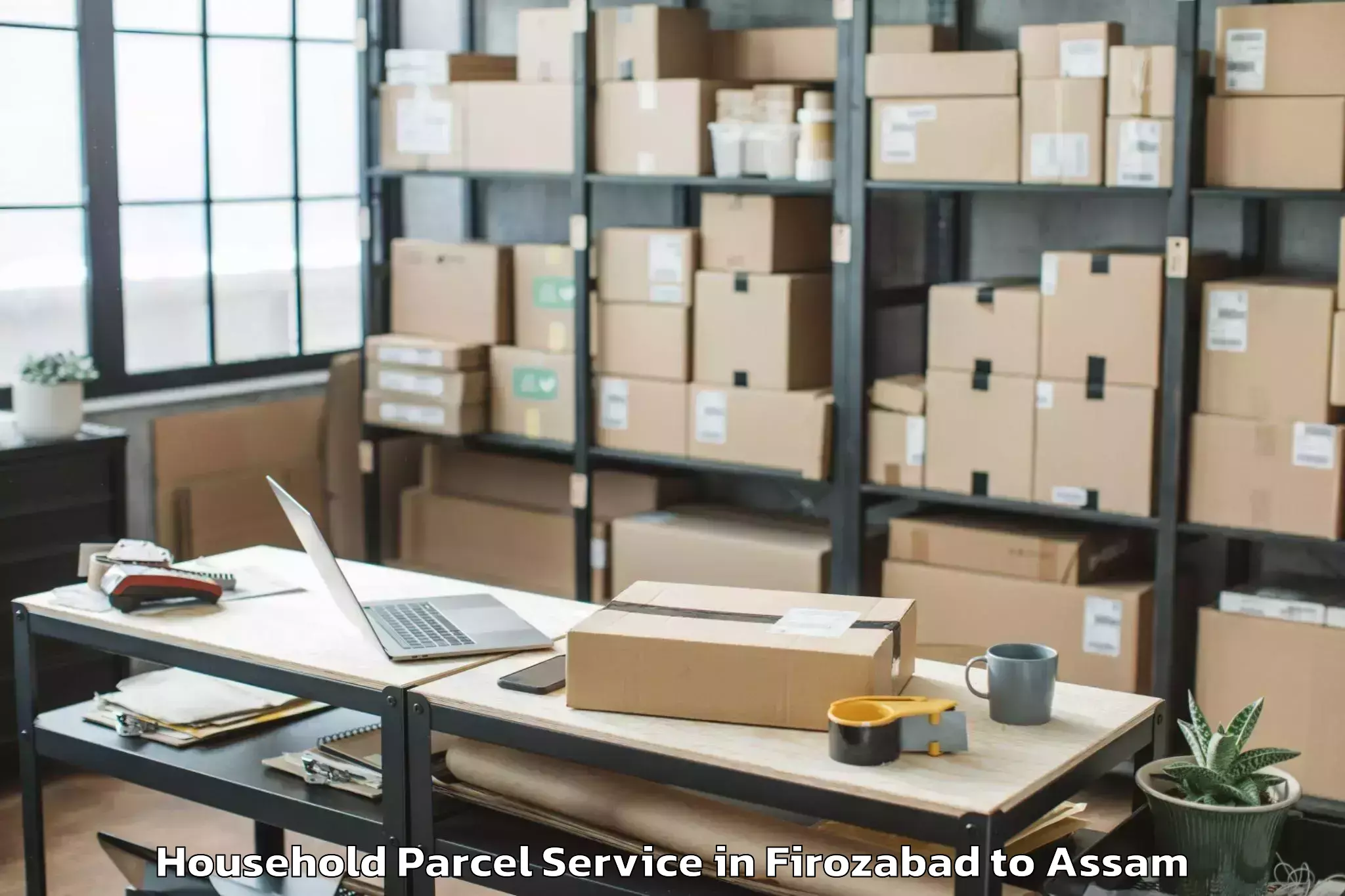 Hassle-Free Firozabad to Dokmoka Household Parcel